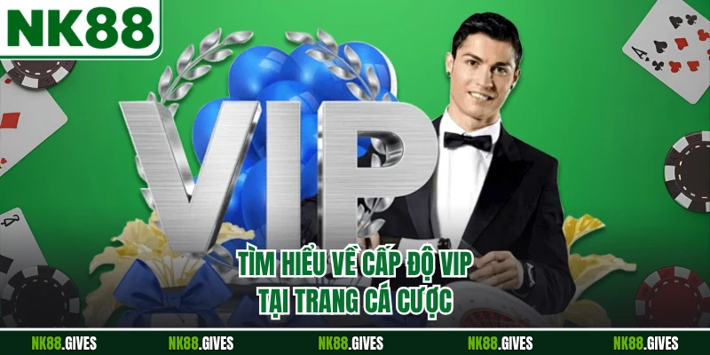 Tìm hiểu về cấp độ VIP tại trang cá cược